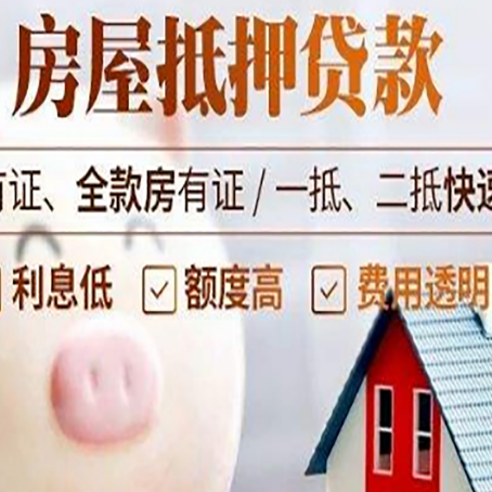 贡山贷款助贷公司新渝启服靠谱公司